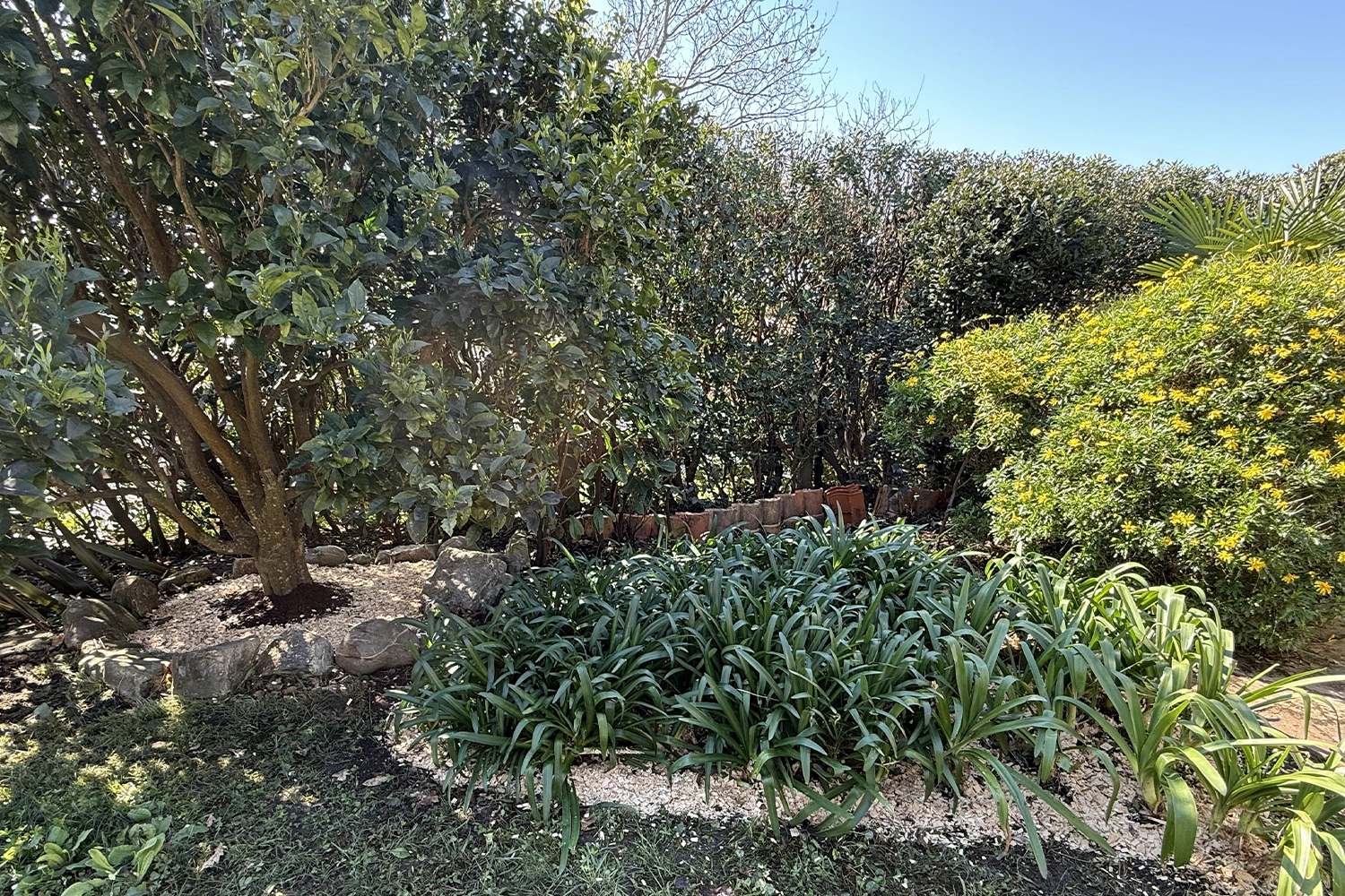 entretien jardin Bidart